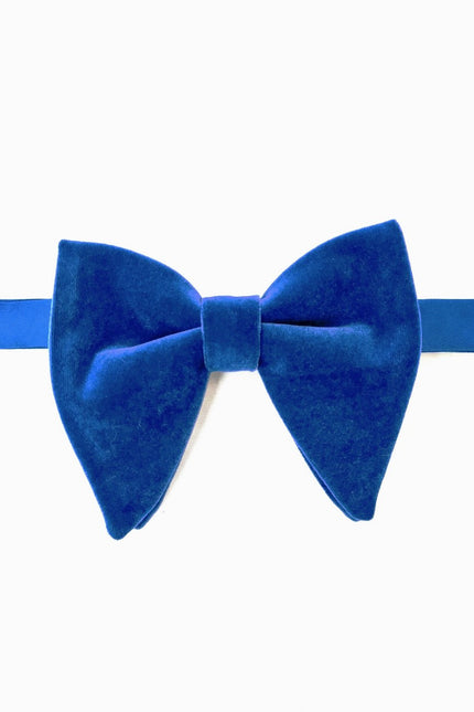 Nœud papillon bleu royal grande taille